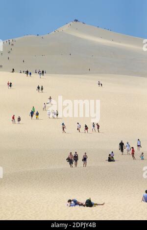 Tourists climb the Dune of Pyla During the summer holidays . La Dune du Pyla is the Largest sand dune in Europe in Pyla sur Mer on July 13, 2015. Photo by Thibaud Moritz/ABACAPRESS.COM Stock Photo