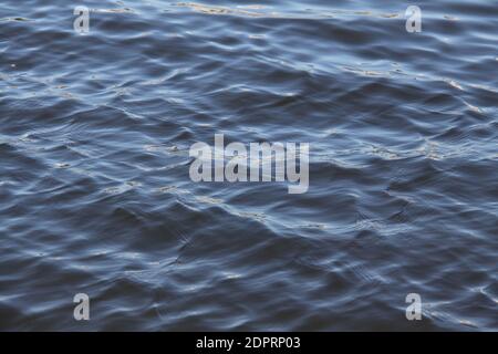 Close-Up View of Gentle Moving Swells of Ocean Sea Stock Photo