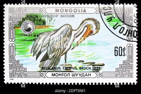 MOSCOW, RUSSIA - SEPTEMBER 26, 2018: A stamp printed in Mongolia shows Dalmatian Pelican (Pelecanus crispus), Pelicans serie, circa 1986 Stock Photo