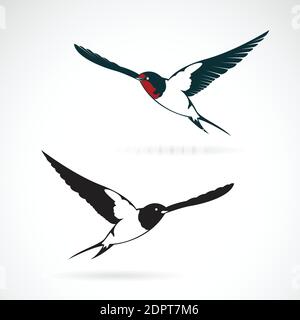Vector of bird swallows design on white background., Bird Icon., Wild Animals. Easy editable layered vector illustration. Stock Vector