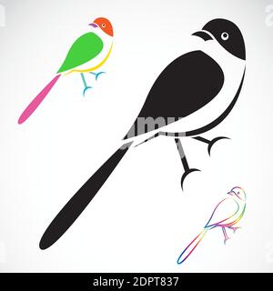 Vector of bird on white background. Easy editable layered vector illustration. Wild Animals. Stock Vector