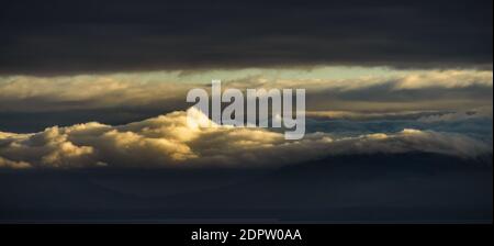 Dramatic stormy dark moody sky, clouds with sunset and treetops in winter Ireland Stock Photo
