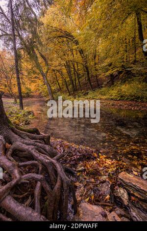 Autumn landscape with colorful trees by a river Stock Photo - Alamy