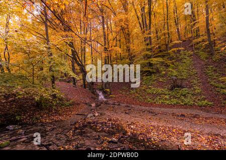 Autumn creek landscape. colorful trees and beautiful waterfall in deep. River in autumn forest, colorful fall nature view. Peaceful forest leaves Stock Photo