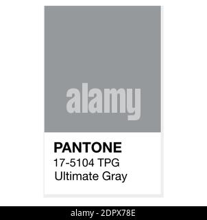 SWINDON, UK - DECEMBER 20, 2020: Pantone Ultimate Gray Trending Colours of the Year 2021. Color swatches vector illustration Stock Vector