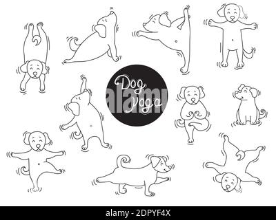 Yoga pets. Dog yoga a set of pictures. Lovely puppies stand in an asana. Outline. Vector Stock Vector