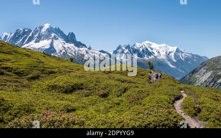 Hiker on hiking trail, mountain panorama from Aiguillette de Poisettes, left Aiguille Verte, middle Aiguille du Midi, right Mont Blanc, Chamonix Stock Photo