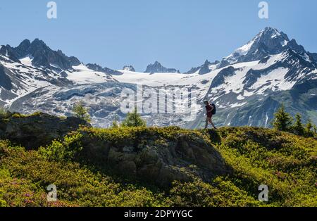 Hiker walking in front of mountain panorama from Aiguillette des Posettes, behind summit of Aiguille de Tour and Aiguille de Chardonnet, Chamonix Stock Photo