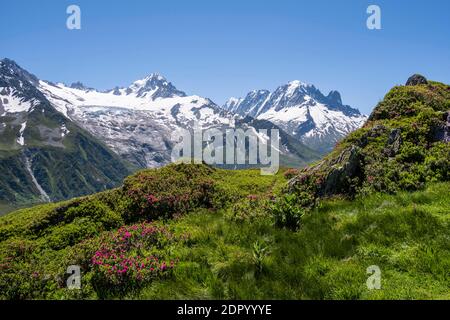 View from Aiguillette de Poisettes, left Aiguille de Chardonnet, right Aiguille Verte, Chamonix, Haute-Savoie, France Stock Photo