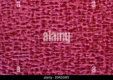 Texture of red velor fabric close up, background Stock Photo