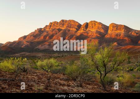 First light on Elder Range, part of the Famous Flinders Ranges. Stock Photo