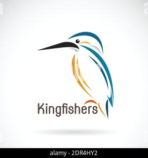 Vector of a kingfishers (Alcedo atthis) on white background. Bird Design. Easy editable layered vector illustration. Wild Animals. Stock Vector
