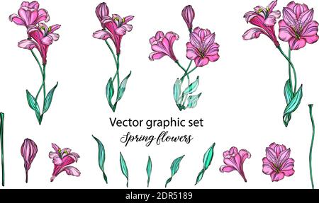 Vector floral arrangements with romantic pink flowers. Stock Vector