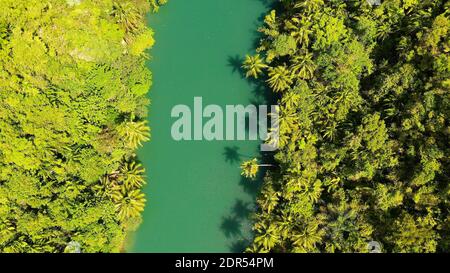 River in the mountain jungle covered with green trees. Loboc river in a rainforest in a mountain canyon. Bohol, Philippines. Stock Photo