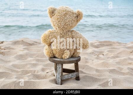 back view of brown teddy bear sitting on rustic wooden stool in beach sand looking at the water Stock Photo