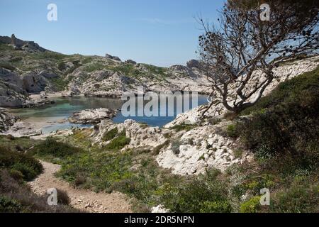 Frioul archipelago out of Marseille : Calanque de la Crine Stock Photo