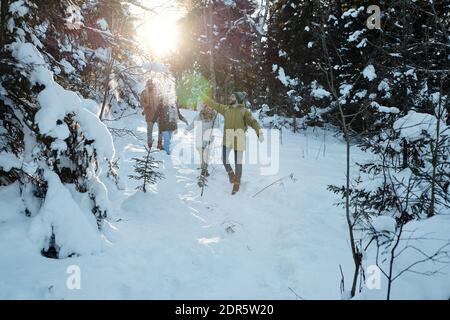 Happy young intercultural friends in winterwear having fun while chilling out in wnter forest among coniferous trees covered with snow Stock Photo