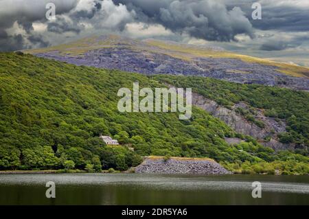 Coed Dinorwig is an impressive ancient woodland on a hillside overlooking Llyn Padarn next to Llanberis in the Snowdonia National Park. Stock Photo