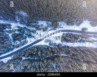 Snow covered Fir Trees and Road with a River in Mountains Top View. Winter forest and road from above