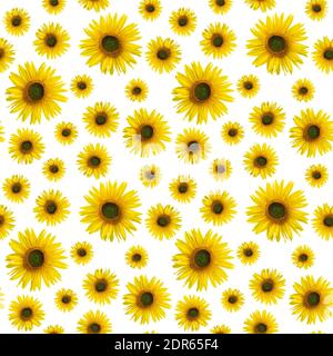 Seamless pattern with real yellow sunflower flowers in high resolution. Photo pattern with a sunflower on a white background for printed products, pac Stock Photo