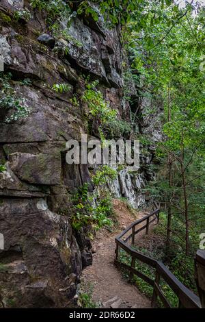 A narrow trail along a mountainside in Cloudland Canyon State Park in North Georgia Stock Photo