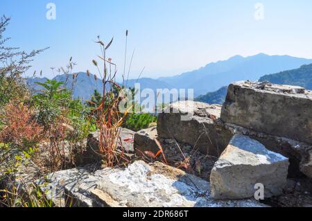 Unplastered, crumbling bricks and red grass growing on the Great Wall of China near Beijing. The view goes into the surrounding landscape and forests Stock Photo
