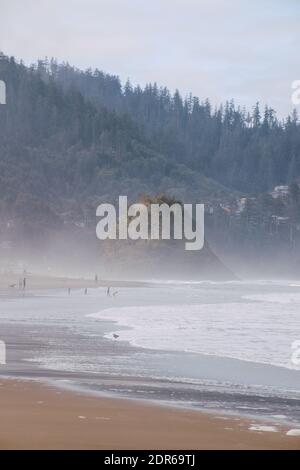 A vertical shot of Proposal Rock, Oregon in a foggy day Stock Photo