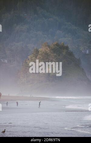 A vertical shot of Proposal Rock, Oregon in a foggy day Stock Photo