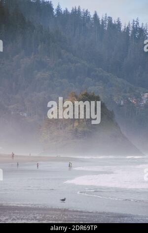 A vertical shot of Proposal Rock, Oregon in a foggy day Stock Photo