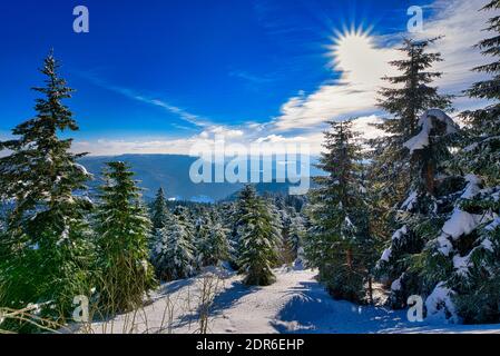 Winter Landscape Snow Frozen Forest Mummelsee Germany Stock Photo