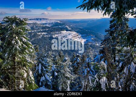 Winter Landscape Snow Frozen Forest Mummelsee Germany Stock Photo