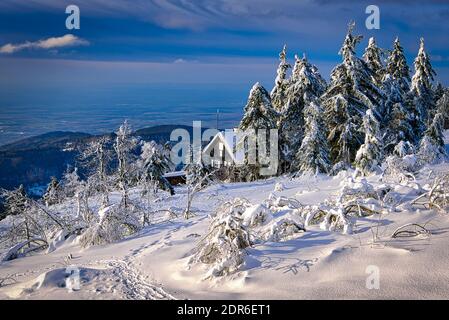 Winter Landscape Snow Frozen Forest Mummelsee Germany Stock Photo