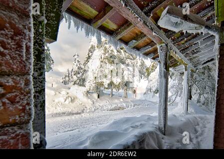 Winter Landscape Snow Frozen Forest Mummelsee Germany Stock Photo