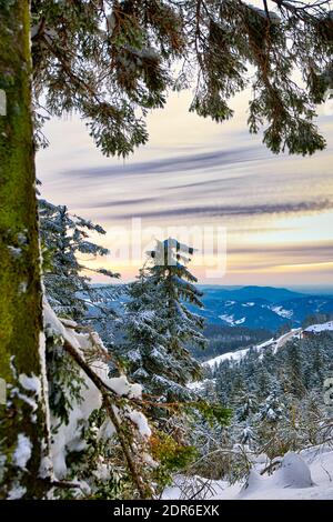 Winter Landscape Snow Frozen Forest Mummelsee Germany Stock Photo