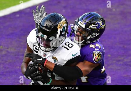 Photo: Baltimore Ravens defeat Jacksonville Jaguars 40-14 in