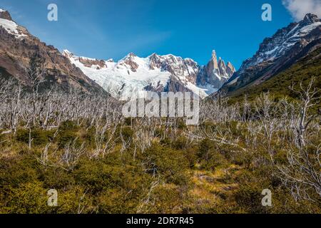 Nice panoramic view of Cerro Torre in Patagonia Stock Photo