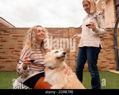A beautiful shot of two blonde females and a cute dog smiling and drinking red wine Stock Photo