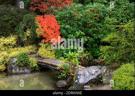 meditation spot by a stone bridge in a Japanese garden during the autumn