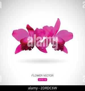 Vector image of orchid flower on white background. Easy editable layered vector illustration. Stock Vector