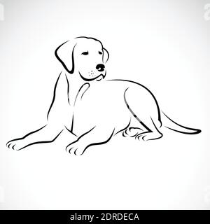 Vector of a dog labrador on white background. Easy editable layered vector illustration. Animals. Pets. Stock Vector