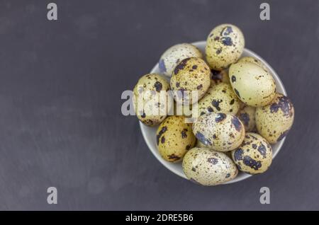 Quail eggs in a bowl on a dark stone background. Stock Photo