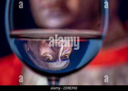 Inverted reflection in the goblet of water of the classic portrait of Cardinal Ludovico Trevisan created by Italian artist  Andrea Mantegna in 1459 Stock Photo