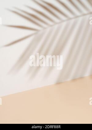 Palm leaf shadow on white wall and cream pastel floor. Abstract background of shadows palm leaf for creative summer minimal mock-up. Neutral tropical palm mockup on light backdrop.Geometric background Stock Photo