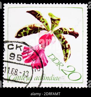 MOSCOW, RUSSIA - JANUARY 4, 2019: A stamp printed in Germany, Democratic Republic shows Cattleya aclandiae, Orchids serie, circa 1968 Stock Photo