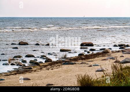 Large stone boulders on the shore of the Gulf of Riga on a summer day. Stock Photo