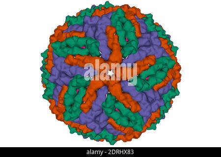 The cryo-EM structure of Zika Virus, 3D surface model isolated, white background. Different colors correspond to different capsid protein chains Stock Photo