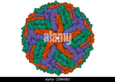 Zika Virus Structure, Illustration Stock Photo - Alamy