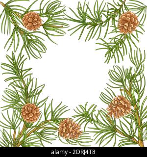 pine vector frame Stock Vector