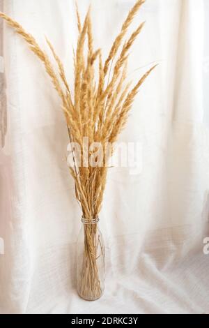 Decorating With Pampas Grass - Pampas Grass Decor Trend