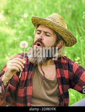 Mental Health. Peaceful Guy Blowing Dandelion. Happy And Carefree Life.  Peace Of Mind. Rest And Relax. Make Wish. Peaceful Man In Straw Summer Hat.  Bearded Man Blowing Dandelion Seeds In Park Stock